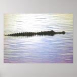 SUNSET SWIM POSTER posters
