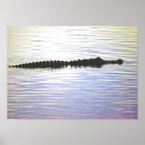 SUNSET SWIM POSTER