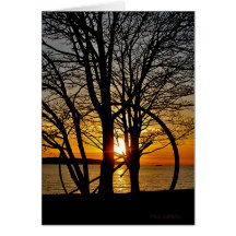 Sunset Through Art Card