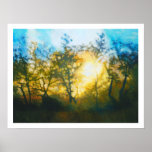 Sunset through Central Coast Oaks posters