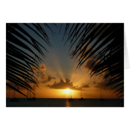 Sunset Through Palm Fronds Card card