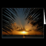 Sunset Through Palm Fronds Card