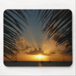 Sunset Through Palm Fronds Mousepad