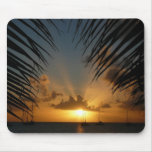 Sunset Through Palm Fronds Mousepad