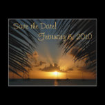 Sunset Through Palm Fronds Save the Date Postcard