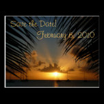 Sunset Through Palm Fronds Save the Date Postcard