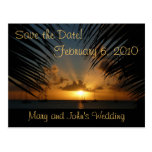 Sunset Through Palm Fronds Save the Date Postcard