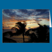 Sunset Through the Palms cards