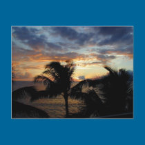 Sunset Through The Palms Postcard