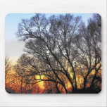 Sunset through the Trees Art Mousepads