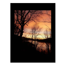 Sunset Through The Trees Postcard