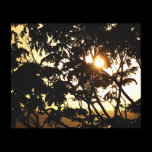 Sunset Through Trees Canvas Print