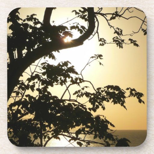 Sunset Through Trees Cork Coaster