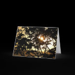 Sunset Through Trees I Card