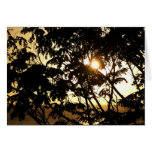 Sunset Through Trees I Card