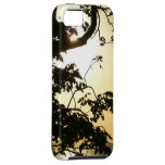 Sunset Through Trees I Tropical Photography iPhone SE/5/5s Case