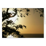 Sunset Through Trees II Card