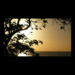Sunset Through Trees II Print