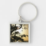 Sunset Through Trees Keychain