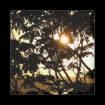 Sunset Through Trees Magnet