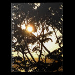Sunset Through Trees Notebook