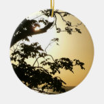 Sunset Through Trees Ornament