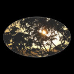 Sunset Through Trees Oval Sticker