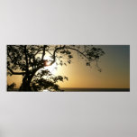 Sunset Through Trees Panoramic Print