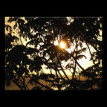Sunset Through Trees Photo Print