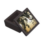 Sunset Through Trees Premium Gift Box
