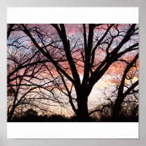 Sunset Tree Poster