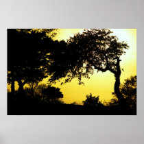 Sunset Tree Silhouette Print