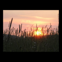 Sunset - tru field posters by kahmier Sunset - tru field posters