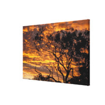 Sunset, Uluru-Kata Tjuta National Park, Canvas Prints