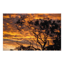 Sunset, Uluru-Kata Tjuta National Park,