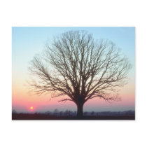 Sunset View postcards by kool27 Sunset View postcards