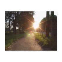 Sunset walk in Hungary postcards