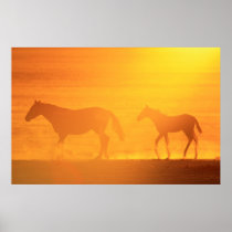 Sunset Walk posters