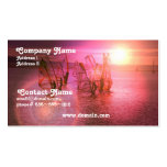 Sunset WIndsurfing Business Card