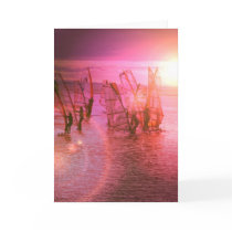 Sunset Windsurfing Card