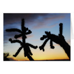 Sunset with Cactus - Blue Cards