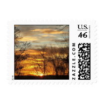 Sunset / with clouds and trees postage