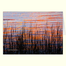 Sunset with Grasses cards