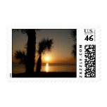 Sunset with Palms, 104