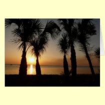 Sunset with Palms, 106 cards by BlarneyCards Sunset with Palms, 106 cards