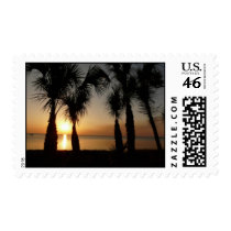 Sunset with Palms, 106 postage by BlarneyCards Sunset with Palms, 106 postage