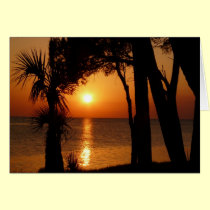 Sunset with Palms, 109 cards by BlarneyCards Sunset with Palms, 109 cards