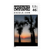 Sunset with Palms, 116 postage by BlarneyCards Sunset with Palms, 116 postage
