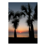 Sunset with Palms, 116