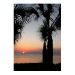 Sunset with Palms, 118